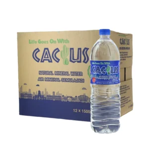 Cactus Mineral Water Pack